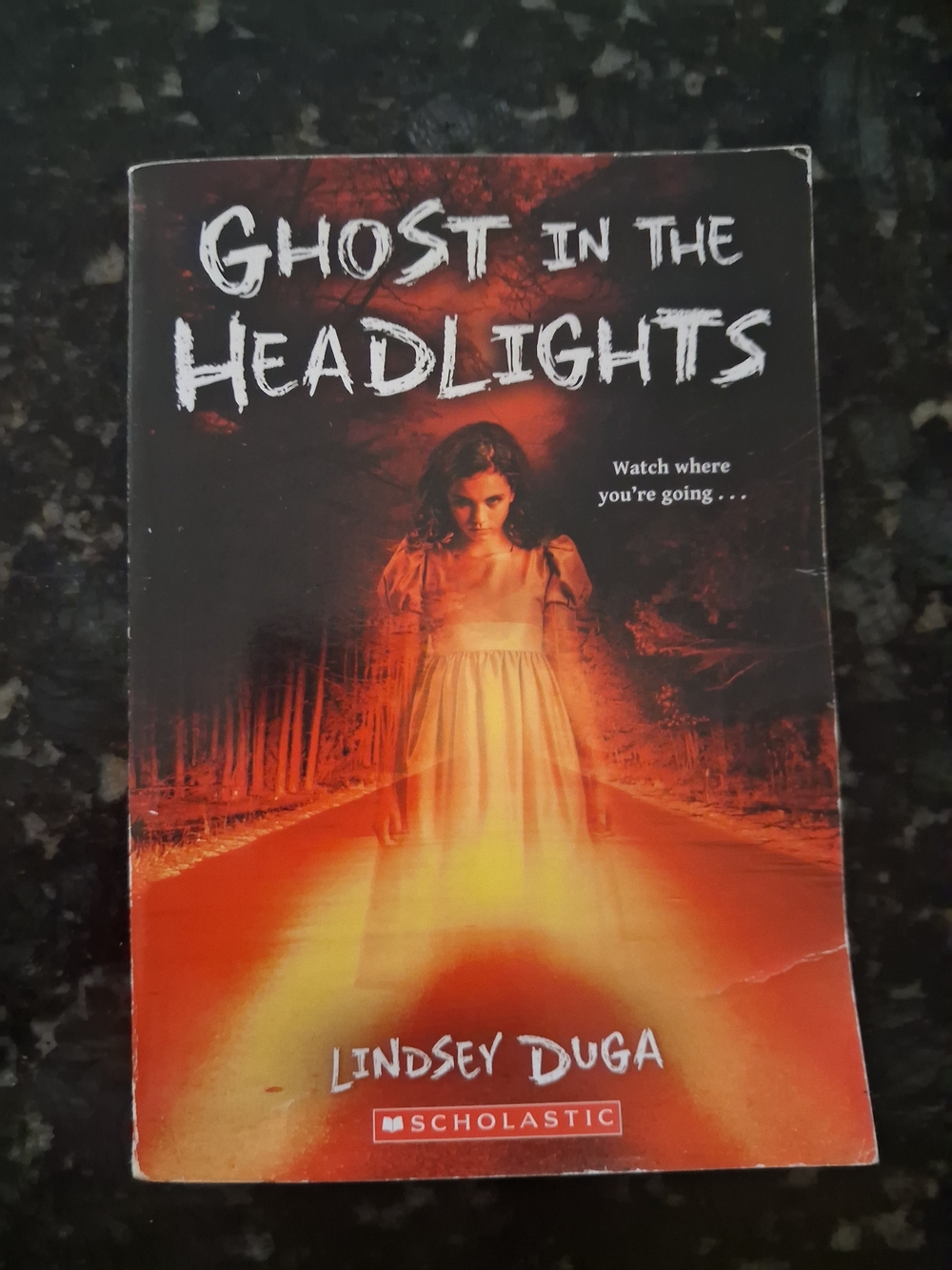 Scholastic Paperback - Orange and Black Ghost Cover by Lindsey Duga